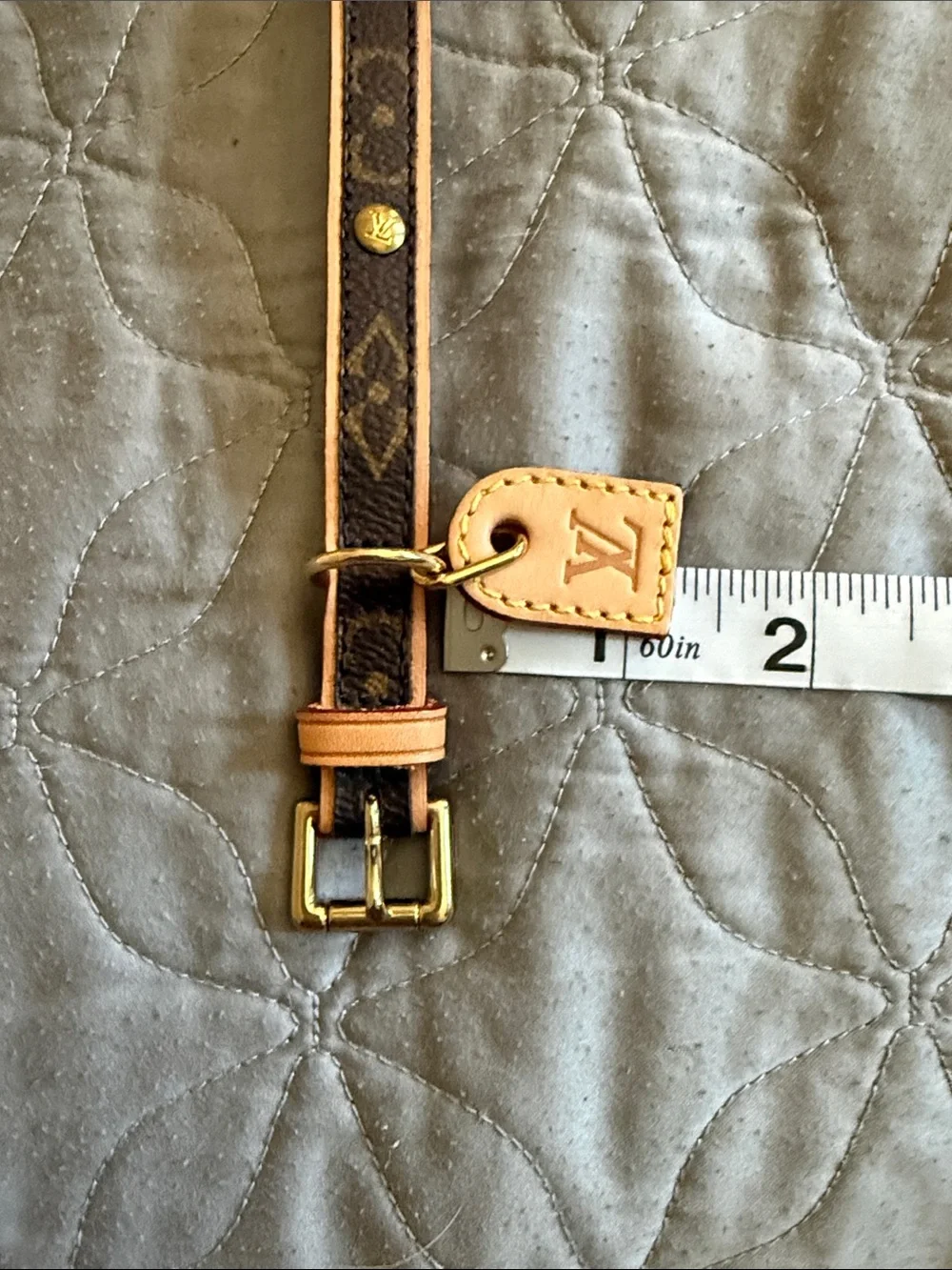 Louis Vuitton Barter Dog collar